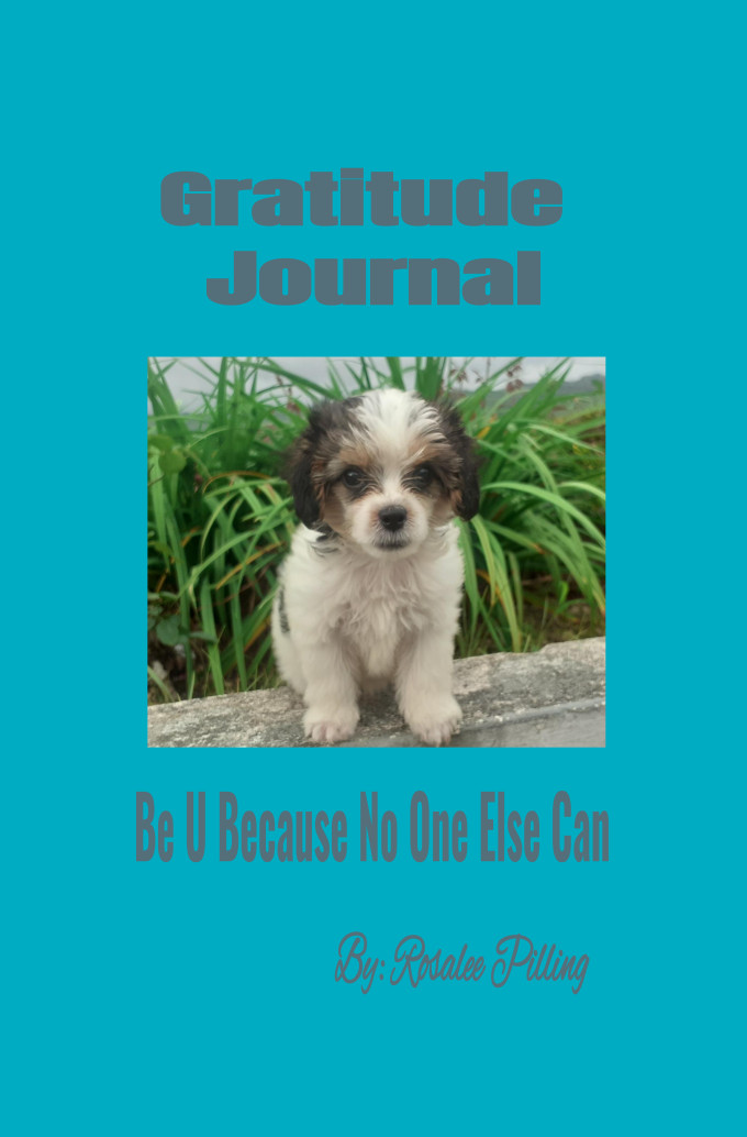 Gratitude Journal: Be U Because No One Else Can